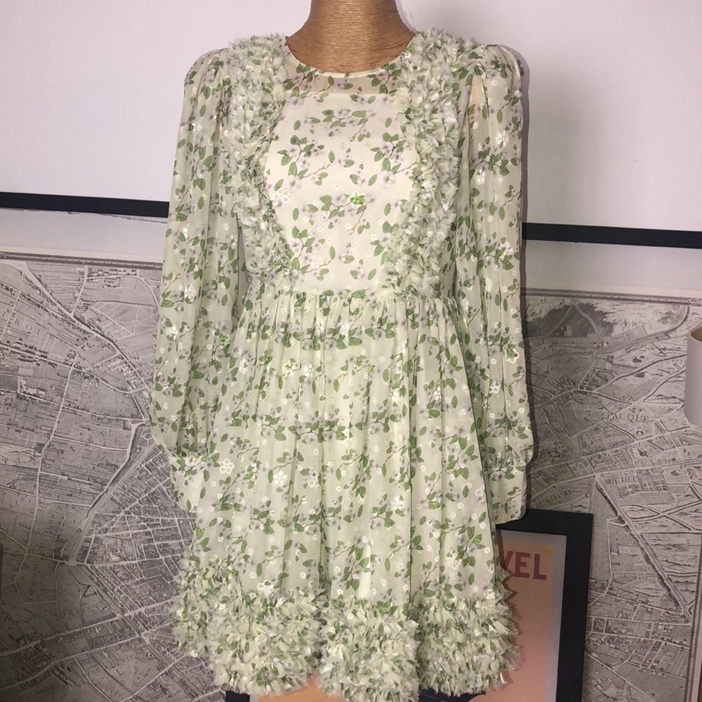 ANNE-LOUISE boutique Floral Ruffle Mini Dress in Light Green Size S